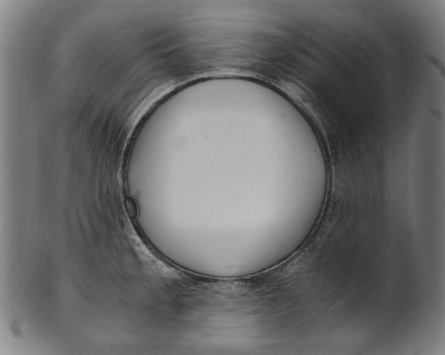 X0000100881189200807111334