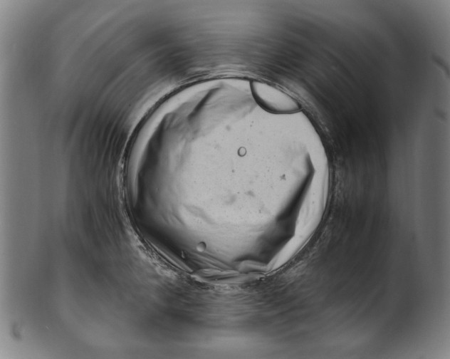 X0000100881190200807111334