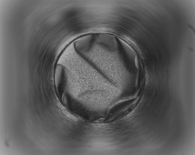 X0000100881192200807111334