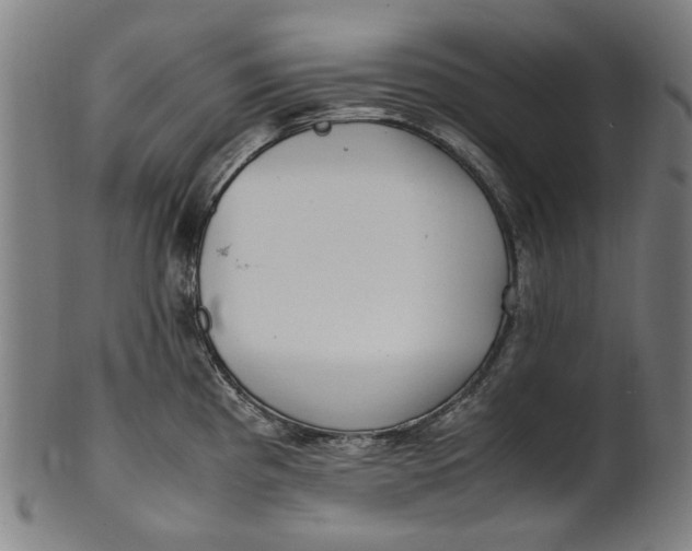 X0000100881193200807111334