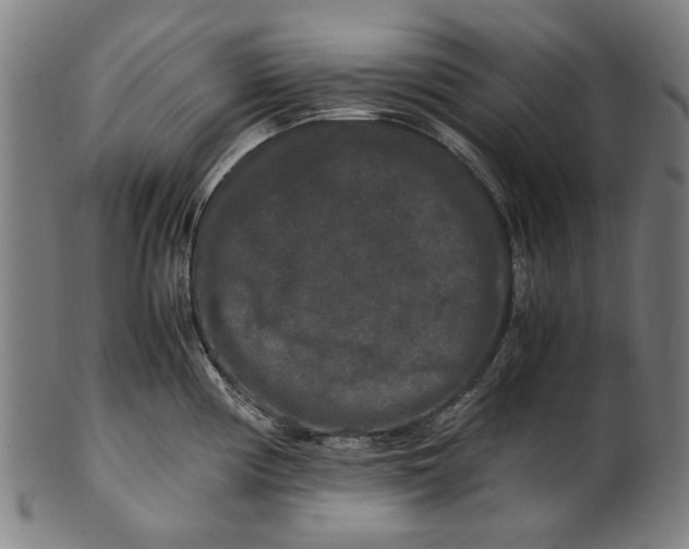 X0000100881194200807111334