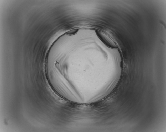 X0000100881195200807111334