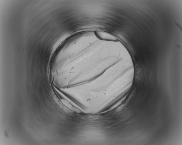 X0000100881196200807111334