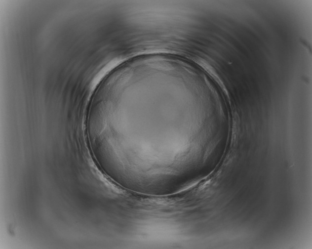 X0000100881197200807111334