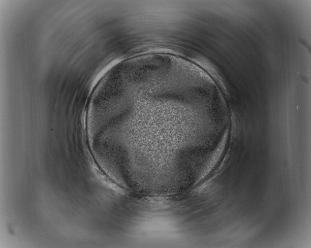 X0000100881198200807111334