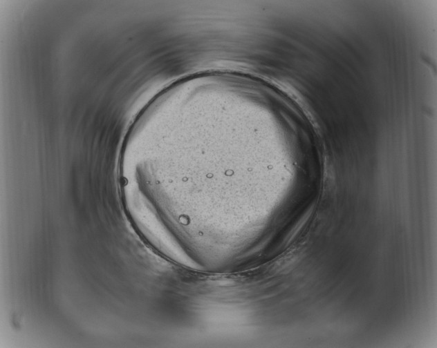 X0000100881199200807111334