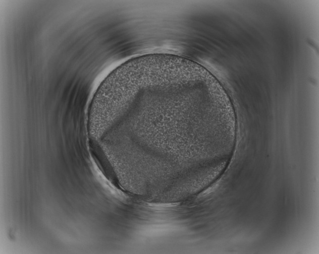 X0000100881200200807111334