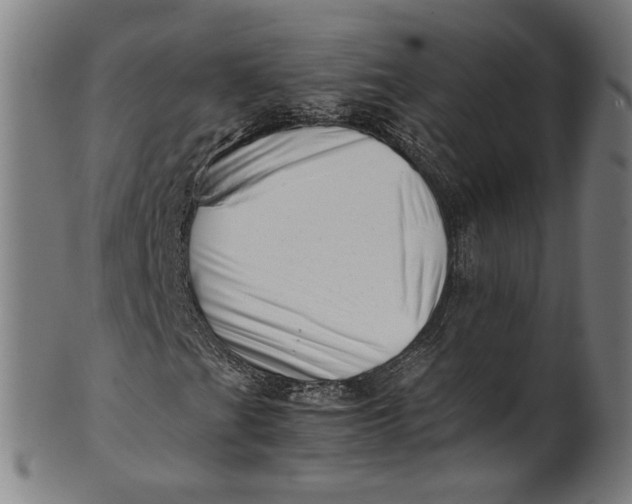 X0000100881201200807111333