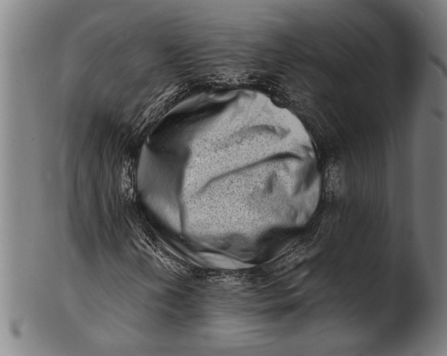 X0000100881202200807111333