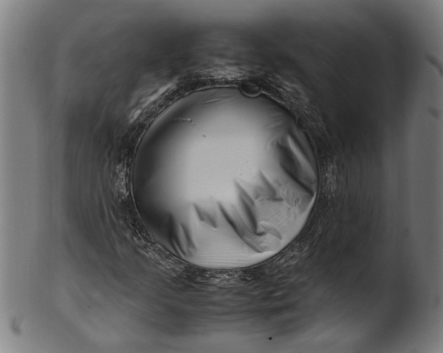 X0000100881205200807111333