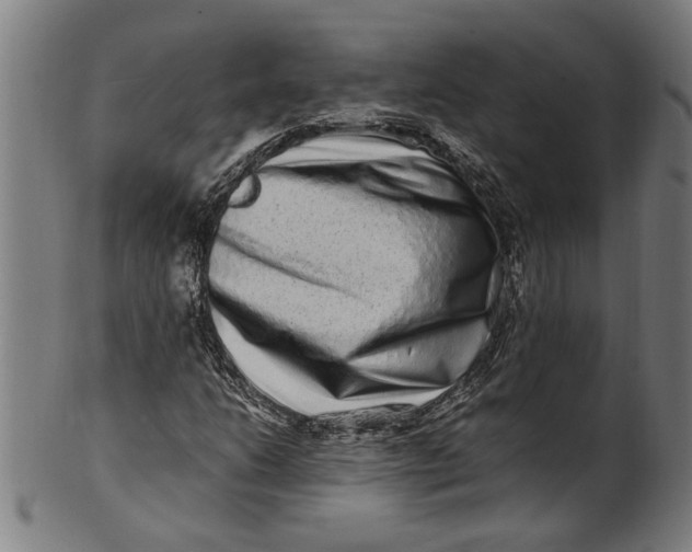 X0000100881206200807111334