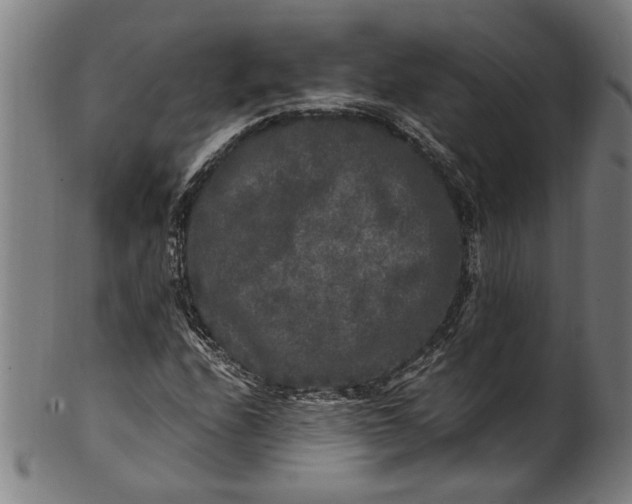 X0000100881208200807111334