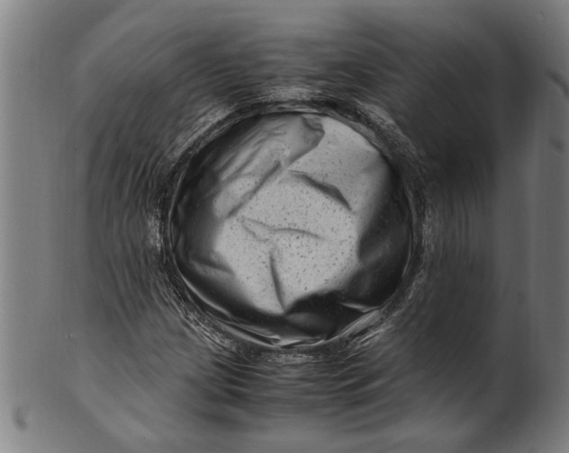 X0000100881209200807111334