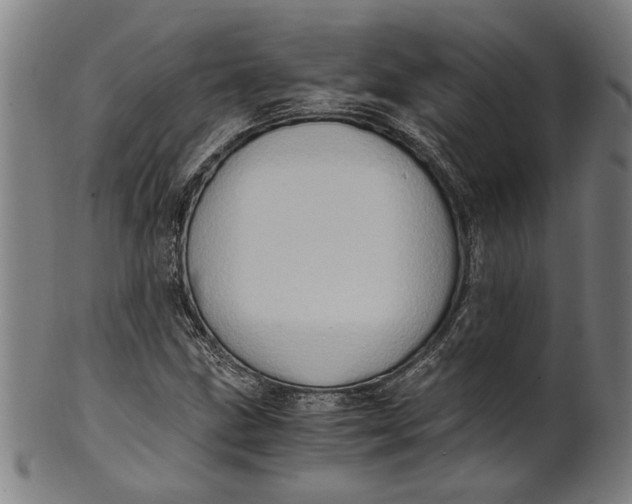 X0000100881211200807111334