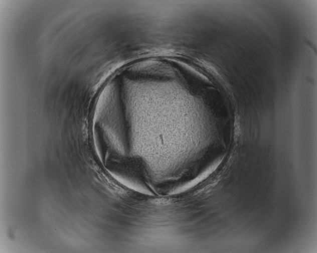 X0000100881212200807111334