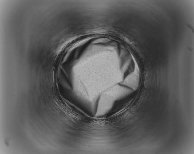 X0000100881214200807111334