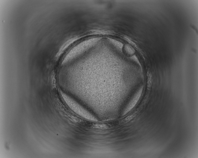 X0000100881215200807111334