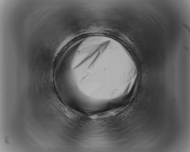 X0000100881216200807111334