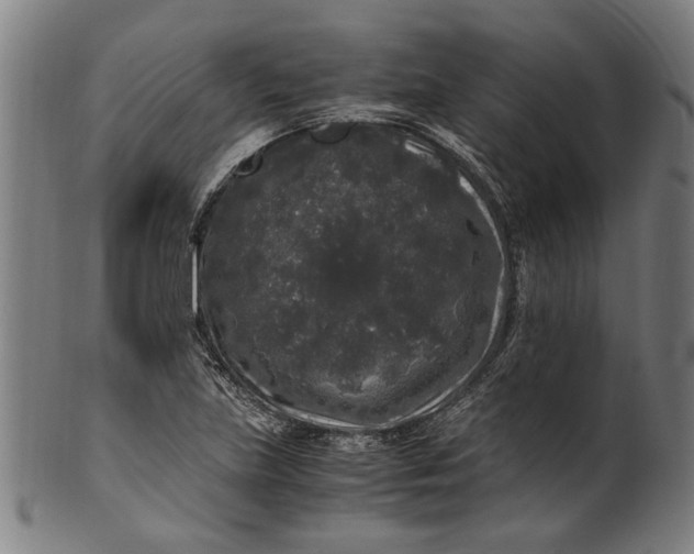 X0000100881219200807111334