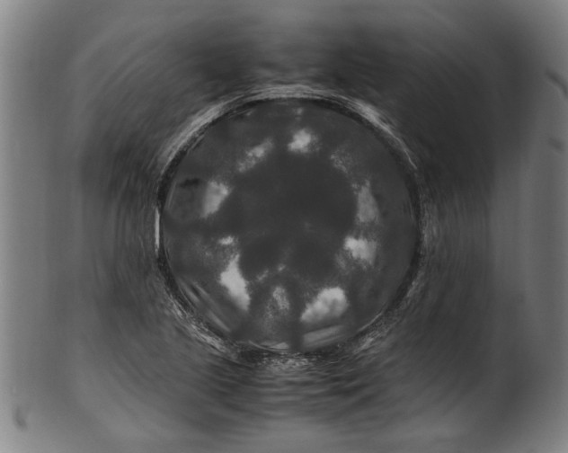 X0000100881221200807111334