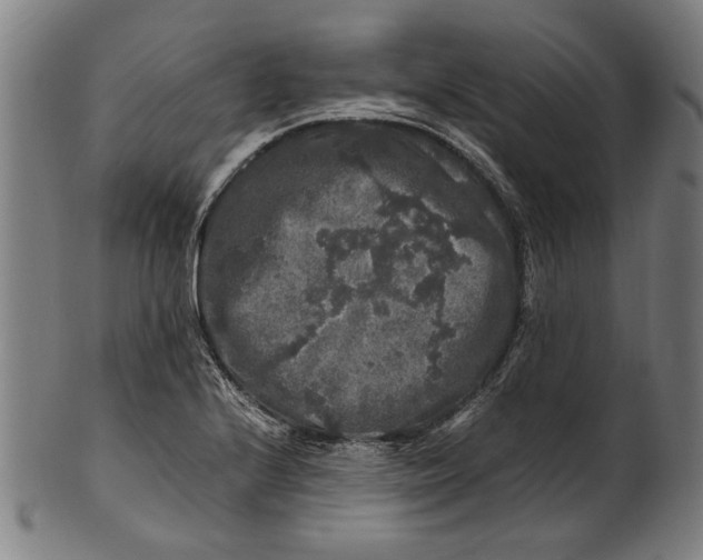 X0000100881224200807111334