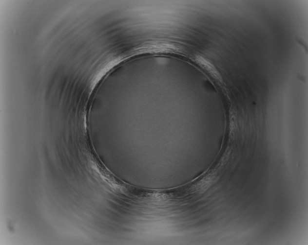 X0000100881226200807111334