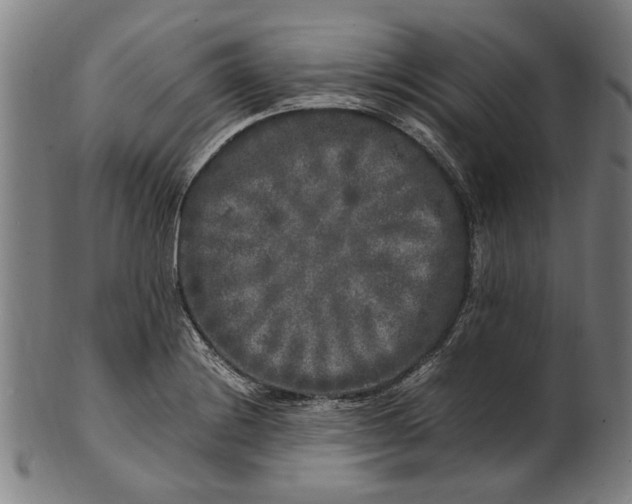 X0000100881228200807111334