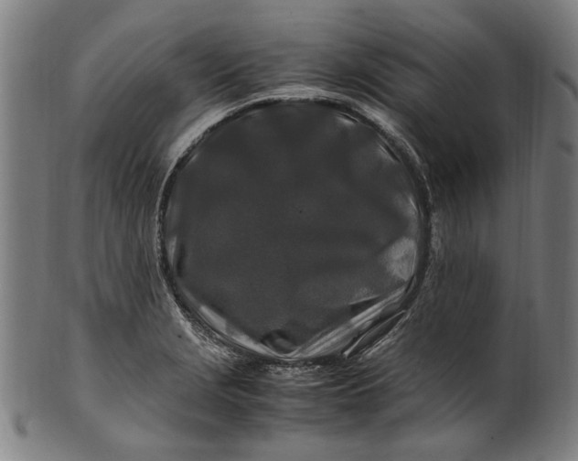 X0000100881229200807111334