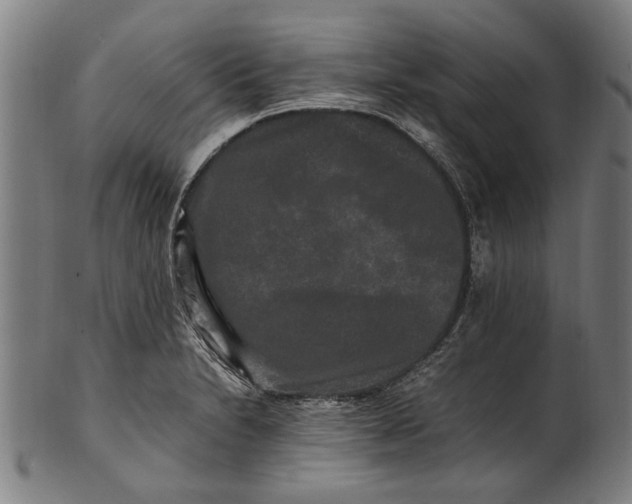 X0000100881230200807111334