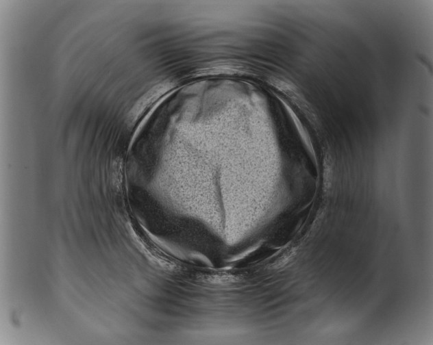 X0000100881233200807111334