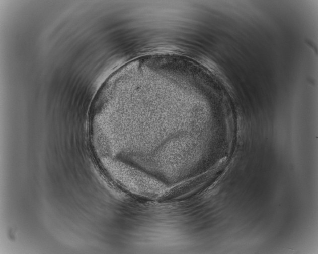 X0000100881234200807111334