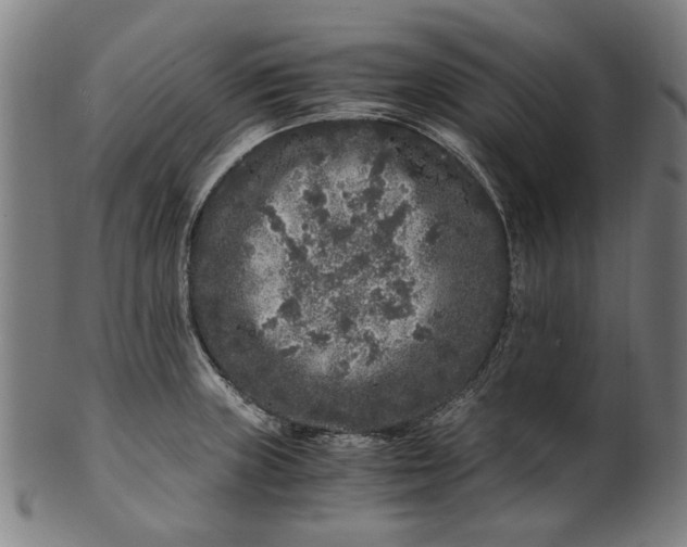 X0000100881235200807111334