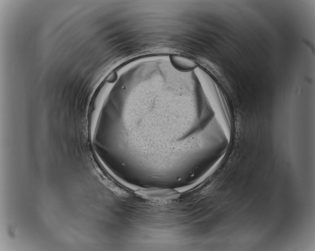 X0000100881236200807111334