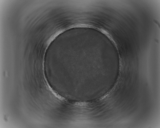 X0000100881237200807111334