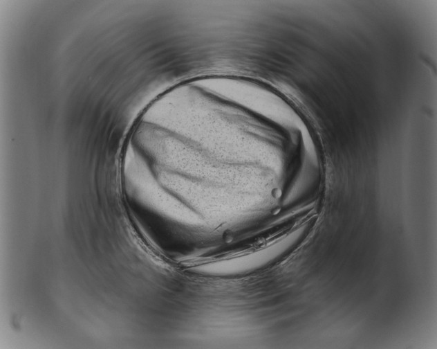 X0000100881238200807111334