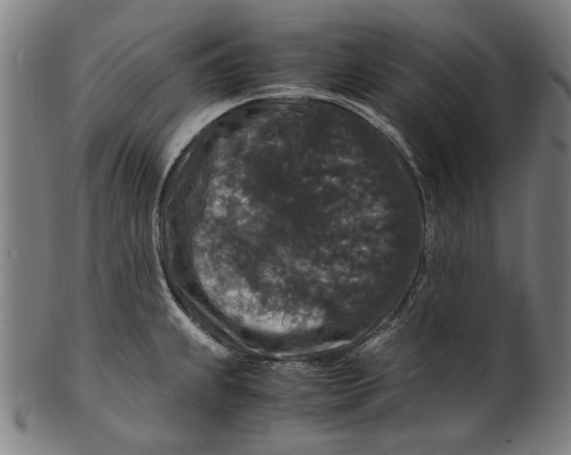 X0000100881239200807111334