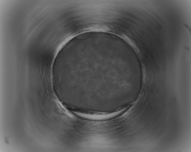 X0000100881240200807111334