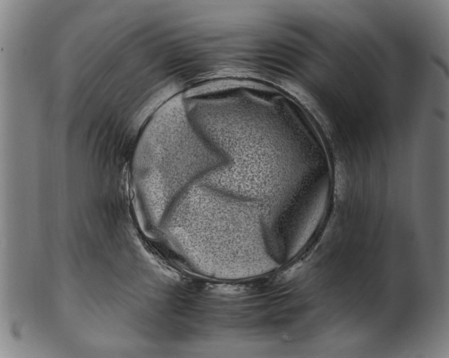 X0000100881241200807111334