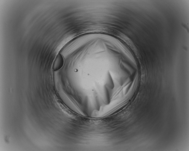 X0000100881242200807111334