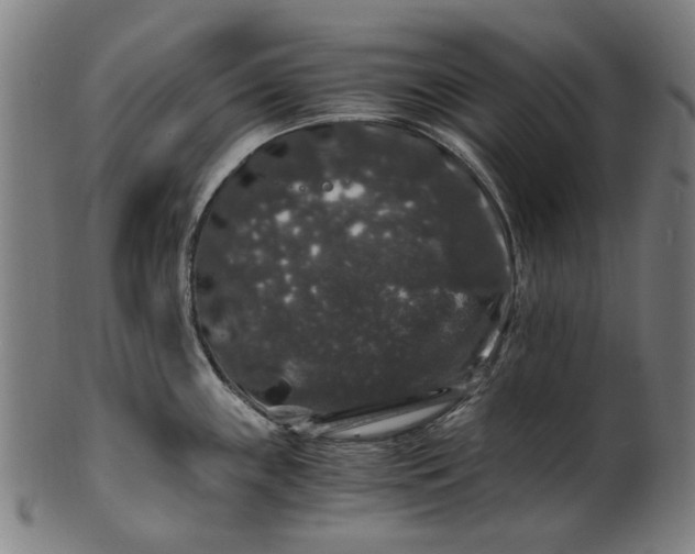 X0000100881243200807111334