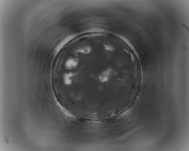 X0000100881245200807111334