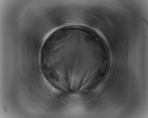 X0000100881246200807111334