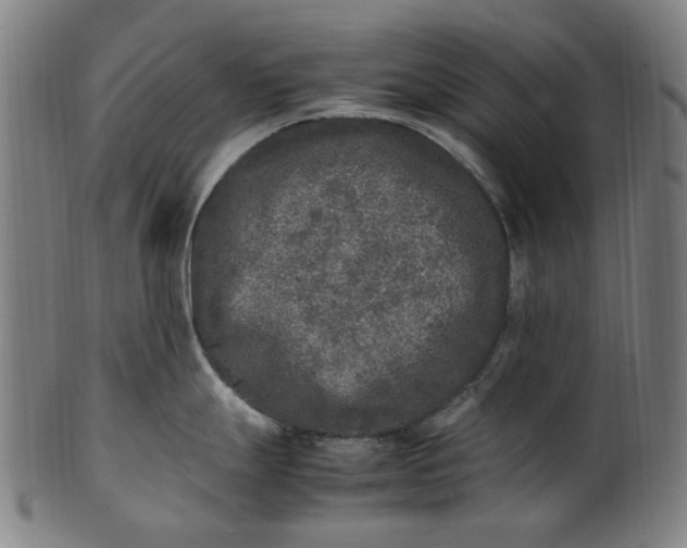 X0000100881247200807111334