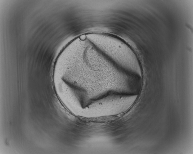 X0000100881248200807111334