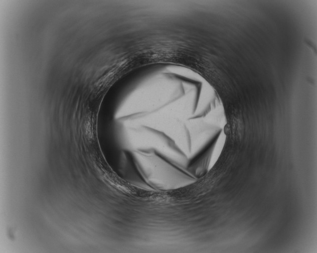 X0000100881250200807111333