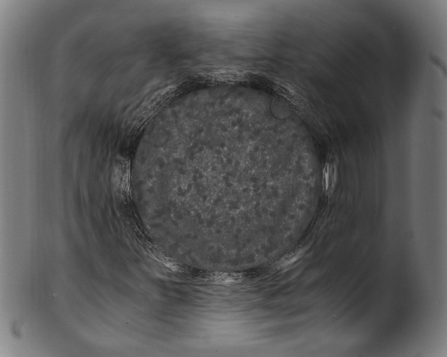 X0000100881251200807111333