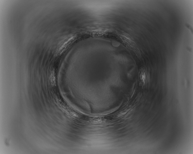 X0000100881252200807111333