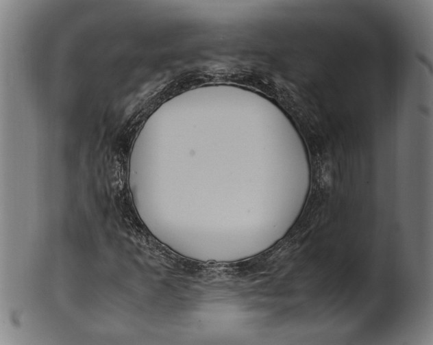 X0000100881253200807111333