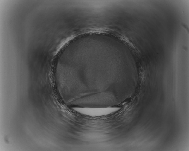 X0000100881256200807111333