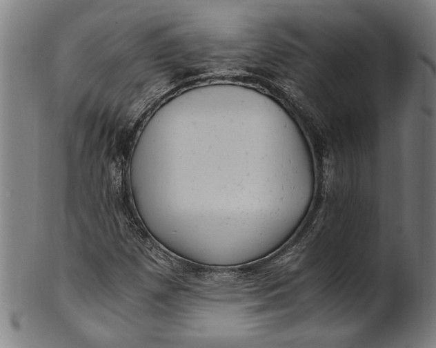 X0000100881257200807111333